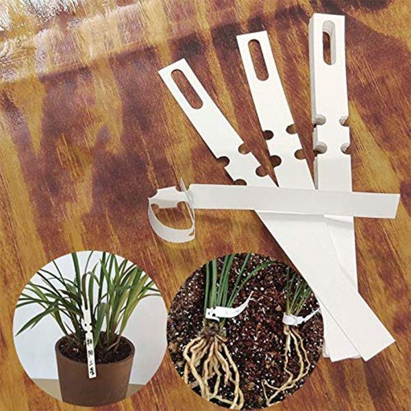 garden decorations 100 pcs white plastic plant tree tags nursery lables 2x20cm wrap around hanging stakes large p82d
garden decorations 100 pcs white plastic plant tree tags nursery lables 2x20cm wrap around hanging stakes large p82d