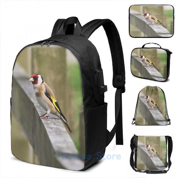 backpack funny graphic print goldfinch usb charge men school bags women bag travel laptop
backpack funny graphic print goldfinch usb charge men school bags women bag travel laptop