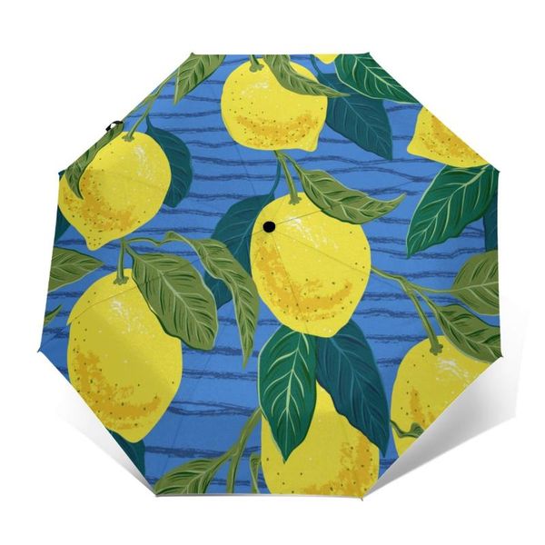 umbrellas wind resistant fully-automatic umbrella citrus lemons rain 3 folding parasol travel car
umbrellas wind resistant fully-automatic umbrella citrus lemons rain 3 folding parasol travel car