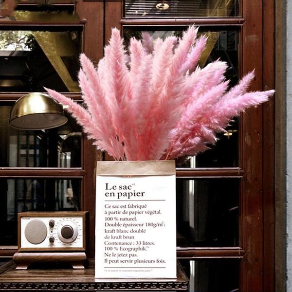 decorative flowers & wreaths 15pcs dried small pampas grass phragmites communis decoration handmade valentine's day wedding party home
decorative flowers & wreaths 15pcs dried small pampas grass phragmites communis decoration handmade valentine's day wedding party home