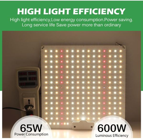 grow lights samsung lm281b led light 600w phytolamp growth lamp ac100-265v full spectrum plant lighting for indoor
grow lights samsung lm281b led light 600w phytolamp growth lamp ac100-265v full spectrum plant lighting for indoor