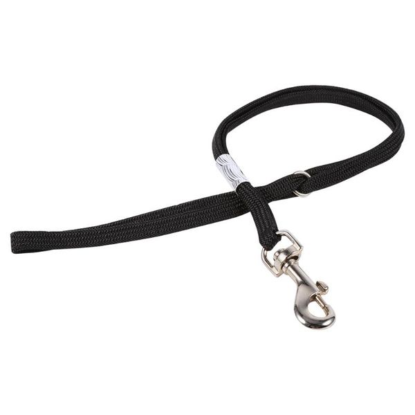 cat collars & leads 2 types pet dog grooming loop table arm bath adjustable restraint rope harness noose standing training
cat collars & leads 2 types pet dog grooming loop table arm bath adjustable restraint rope harness noose standing training