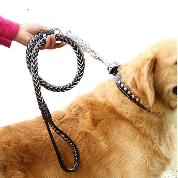120cm leather braided dog leash black padded handle pet walking running leads with spring buffer for medium large dogs labrador collars & le
120cm leather braided dog leash black padded handle pet walking running leads with spring buffer for medium large dogs labrador collars & le