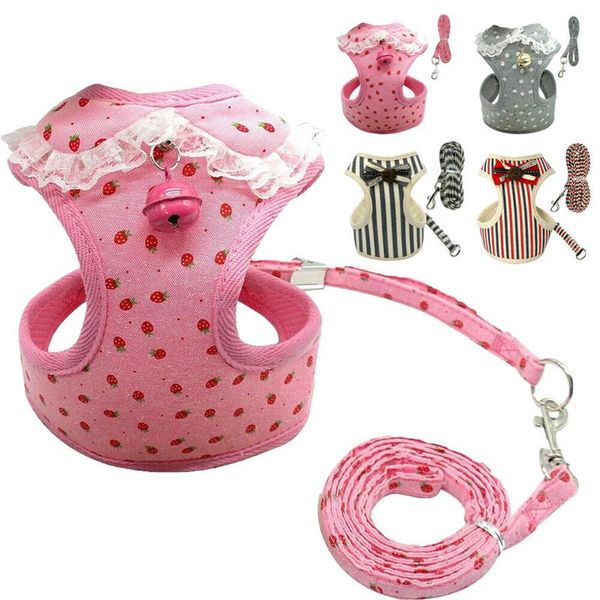 dog collars & leashes breathable mesh small pet harness and leash set puppy vest for cat adjustable kitten dogs
dog collars & leashes breathable mesh small pet harness and leash set puppy vest for cat adjustable kitten dogs