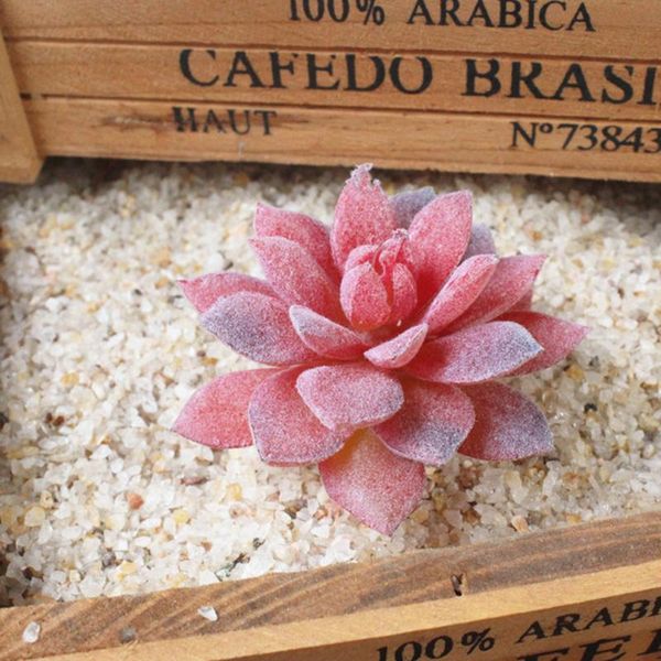 plants artificial succulent simulated garden office table decor window decorative flowers & wreaths
plants artificial succulent simulated garden office table decor window decorative flowers & wreaths