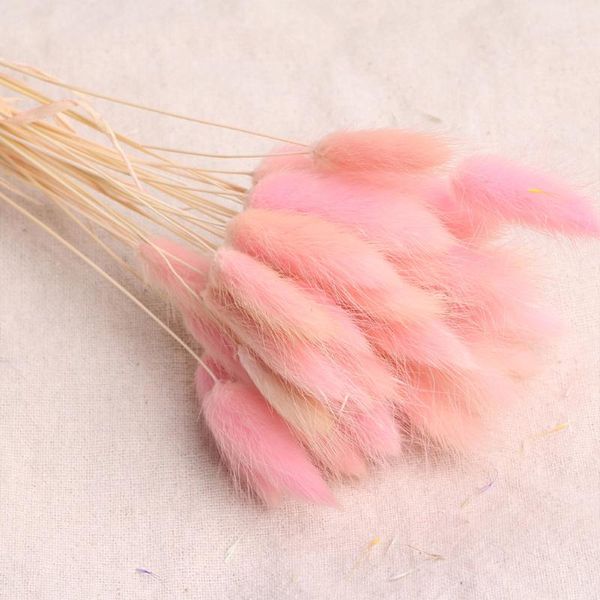 decorative flowers & wreaths 30pcs eco friendly wedding party tail grass natural dried flower gift florist lagurus ovatus home decor
decorative flowers & wreaths 30pcs eco friendly wedding party tail grass natural dried flower gift florist lagurus ovatus home decor