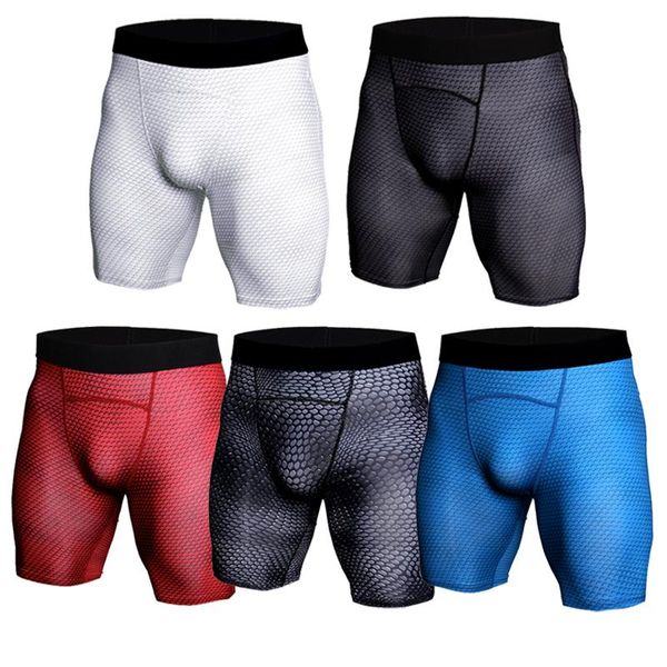 men's compression running t-shirt fitness tight-fitting long-sleeved sports training shirt gym sportswear quick-drying r pants, Black;blue
men's compression running t-shirt fitness tight-fitting long-sleeved sports training shirt gym sportswear quick-drying r pants, Black;blue