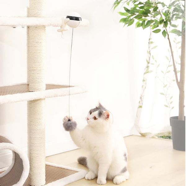 cat toys electronic motion pet toy electric flutter rotating interactive puzzle ball yo-yo lifting
cat toys electronic motion pet toy electric flutter rotating interactive puzzle ball yo-yo lifting