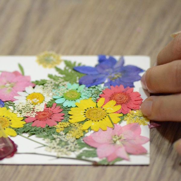 decorative flowers & wreaths 1 bag diy accessories real dried resin pendant flower dry plants for candle epoxy necklace jewelry
decorative flowers & wreaths 1 bag diy accessories real dried resin pendant flower dry plants for candle epoxy necklace jewelry