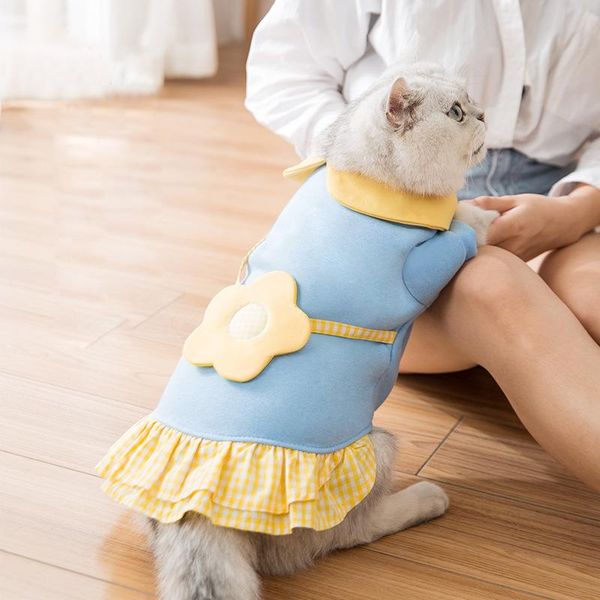 cat costumes 2021 pet clothes autumn thin skirt sweater anti-hair clothing winter warm
cat costumes 2021 pet clothes autumn thin skirt sweater anti-hair clothing winter warm