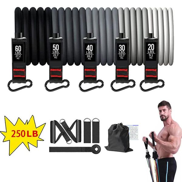 resistance bands latex home gym fitness bodybuilding expander muscle strength training equipment pull rope rubber elastic
resistance bands latex home gym fitness bodybuilding expander muscle strength training equipment pull rope rubber elastic