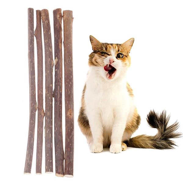 cat toys 15/20pcs pure natural catnip pet toy safety molar toothpaste branch cleaning teeth sticks supplies
cat toys 15/20pcs pure natural catnip pet toy safety molar toothpaste branch cleaning teeth sticks supplies