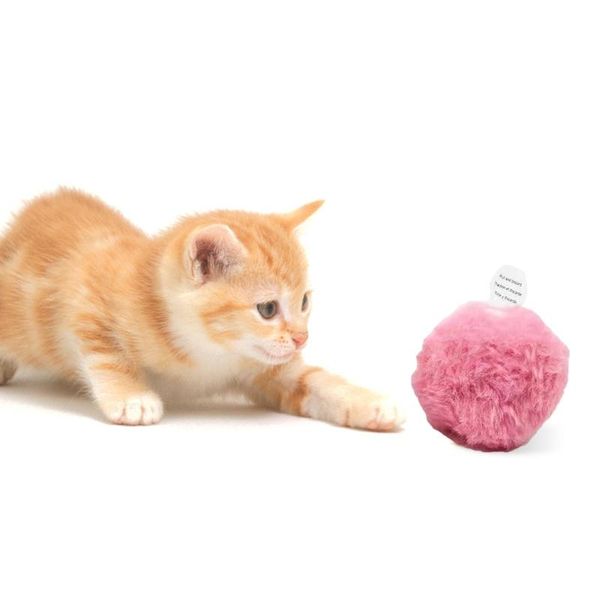 lifelike animal chirping sounds furry ball cat kitten toy interactive kicker bite resistant kitty molar toys pompon plush
lifelike animal chirping sounds furry ball cat kitten toy interactive kicker bite resistant kitty molar toys pompon plush