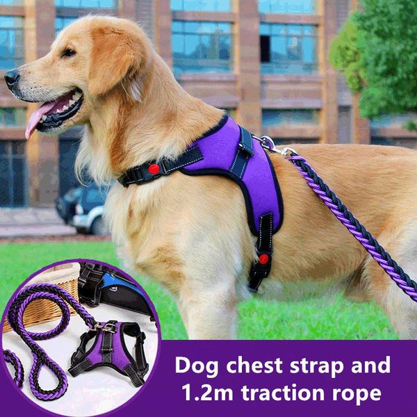 pet harness chest strap large dog go out soft adjustable set traction rope small and medium sized dogs pets accessories collars & leashes
pet harness chest strap large dog go out soft adjustable set traction rope small and medium sized dogs pets accessories collars & leashes