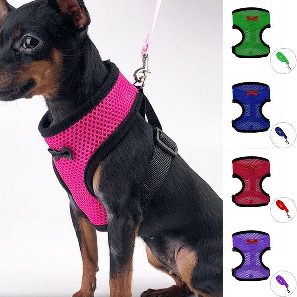 adjustable chest strip with bowknot pet straps cat dog harness and leash safety vest breathable fashion outdoor supplies collars & leashes
adjustable chest strip with bowknot pet straps cat dog harness and leash safety vest breathable fashion outdoor supplies collars & leashes
