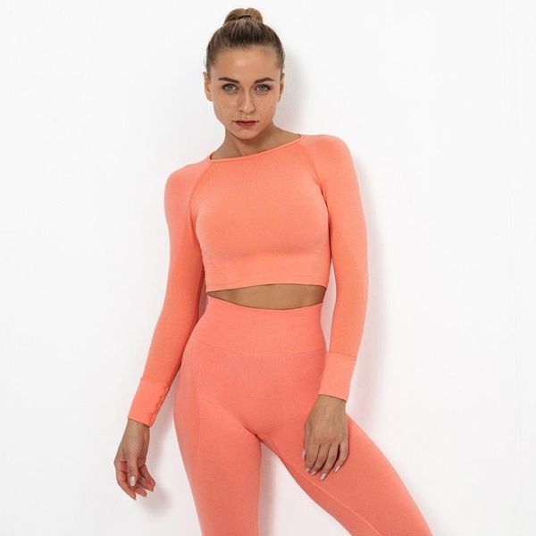 seamless yoga long sleeve workout for women fitness crop breathable sportswear women's shirt gym clothing outfit
seamless yoga long sleeve workout for women fitness crop breathable sportswear women's shirt gym clothing outfit