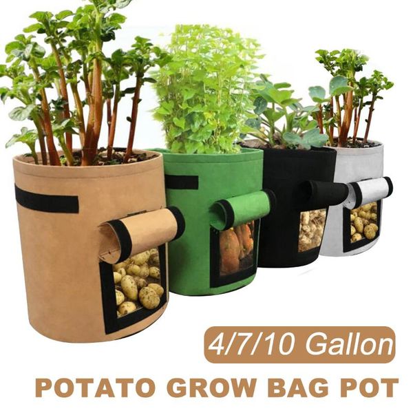 planters & pots vegetable seeds planting bag potato growing 4/7/10 gallon non-woven fabrics planter pouch grow gardening tool
planters & pots vegetable seeds planting bag potato growing 4/7/10 gallon non-woven fabrics planter pouch grow gardening tool