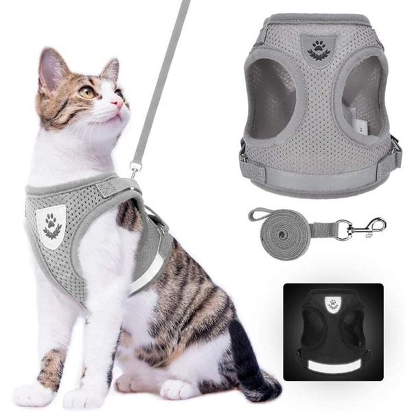 cat collars & leads harness and leash set reflective escape proof for kitties daily outdoor walking with soft breathable mesh chest
cat collars & leads harness and leash set reflective escape proof for kitties daily outdoor walking with soft breathable mesh chest