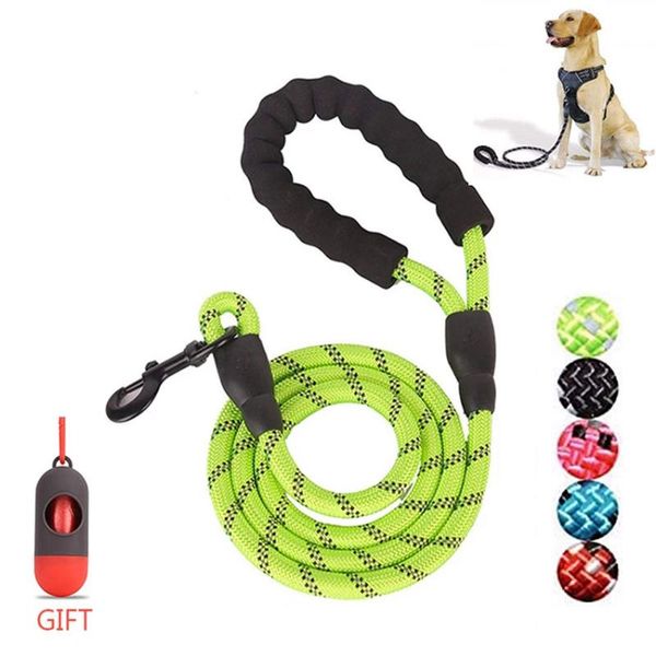pet leash reflective strong dog 1.5m long with comfortable padded handle heavy duty training durable nylon rope leashes collars &
pet leash reflective strong dog 1.5m long with comfortable padded handle heavy duty training durable nylon rope leashes collars &