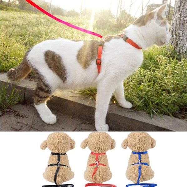 cat collars & leads adjustable dog harnes collar leash nylon pet traction west walking lead for puppy dogs kitten product
cat collars & leads adjustable dog harnes collar leash nylon pet traction west walking lead for puppy dogs kitten product