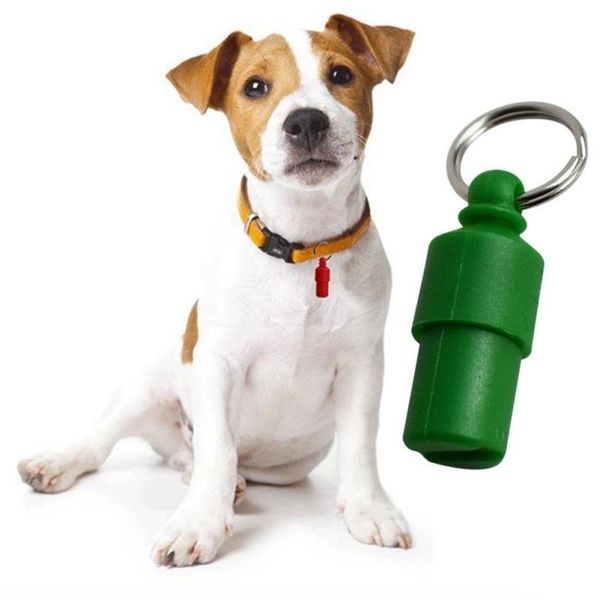 6pcs plastic shaped id name cat dog pendant anti-lost hanging ornaments identity card jewelry for outdoor tag pet products collars & le leas
6pcs plastic shaped id name cat dog pendant anti-lost hanging ornaments identity card jewelry for outdoor tag pet products collars & le leas