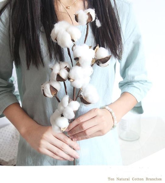 decorative flowers & wreaths 10 head naturally dried cotton flower artificial plants floral branch for wedding party decoration fake home de
decorative flowers & wreaths 10 head naturally dried cotton flower artificial plants floral branch for wedding party decoration fake home de