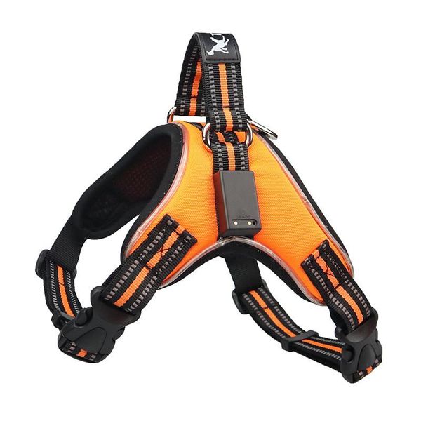 dog collars & leashes pet dogs rechargeable led harness collar adjustable leash pets night safety flashing light cat leads chest straps
dog collars & leashes pet dogs rechargeable led harness collar adjustable leash pets night safety flashing light cat leads chest straps