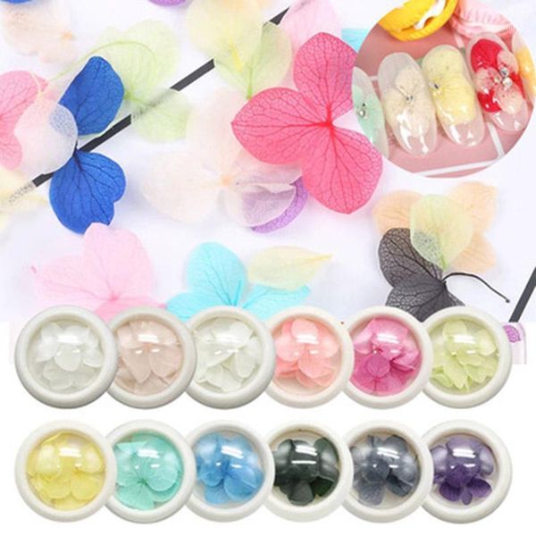 dried flowers nail art decoration diy floral manicure tip 3d decor delicate real nails accesorios -vl161, Silver;gold
dried flowers nail art decoration diy floral manicure tip 3d decor delicate real nails accesorios -vl161, Silver;gold