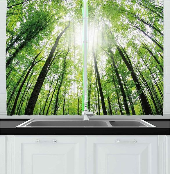 curtain & drapes brown fern nature kitchen curtains upward tree forest view morning sun reflecting inspirational image for cafe decor
curtain & drapes brown fern nature kitchen curtains upward tree forest view morning sun reflecting inspirational image for cafe decor