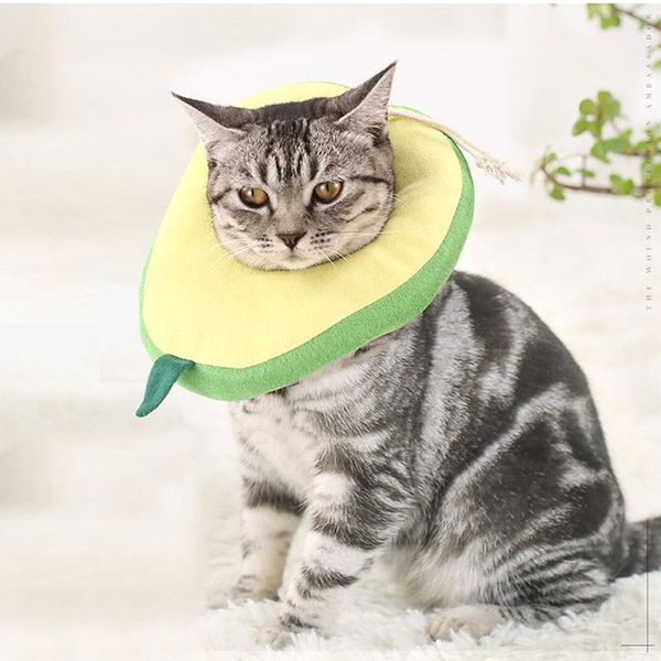 cat collars & leads fruit shaped neck recover dog adjustable printed cotton blends pet protection collar ring for pets head
cat collars & leads fruit shaped neck recover dog adjustable printed cotton blends pet protection collar ring for pets head