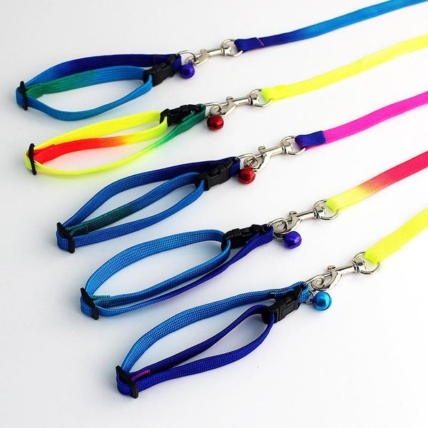 1pcs colorful pet neck traction belt collar rope dog puppy leashes random color collars &
1pcs colorful pet neck traction belt collar rope dog puppy leashes random color collars &