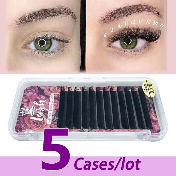 false eyelashes 5pcs/lot supplier wholesale 2d-6d magnetic camellia lashes 1s blooming eyelash extensions grade pointy and custom logo
false eyelashes 5pcs/lot supplier wholesale 2d-6d magnetic camellia lashes 1s blooming eyelash extensions grade pointy and custom logo