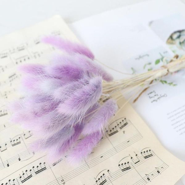party decoration 30pcs natural dried flowers bouquets tail grass tails wedding decor
party decoration 30pcs natural dried flowers bouquets tail grass tails wedding decor