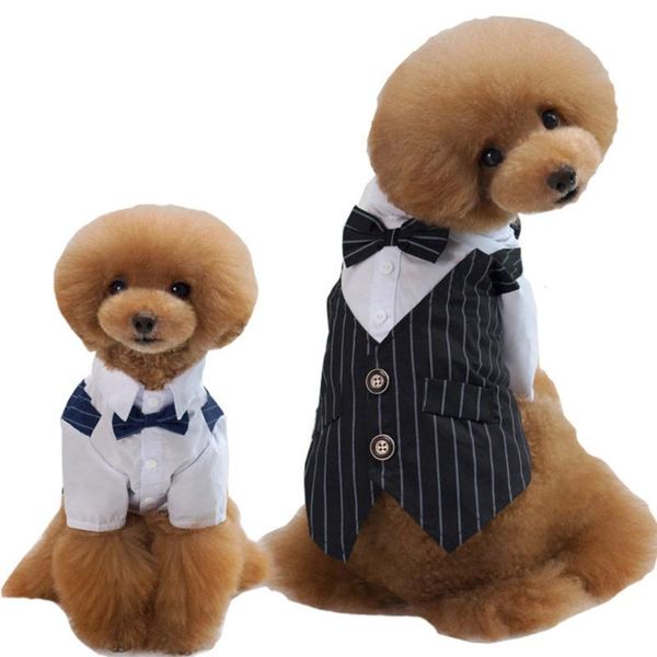 dog apparel spring and summer pet clothing suits teddy fadou wedding fashion striped
dog apparel spring and summer pet clothing suits teddy fadou wedding fashion striped