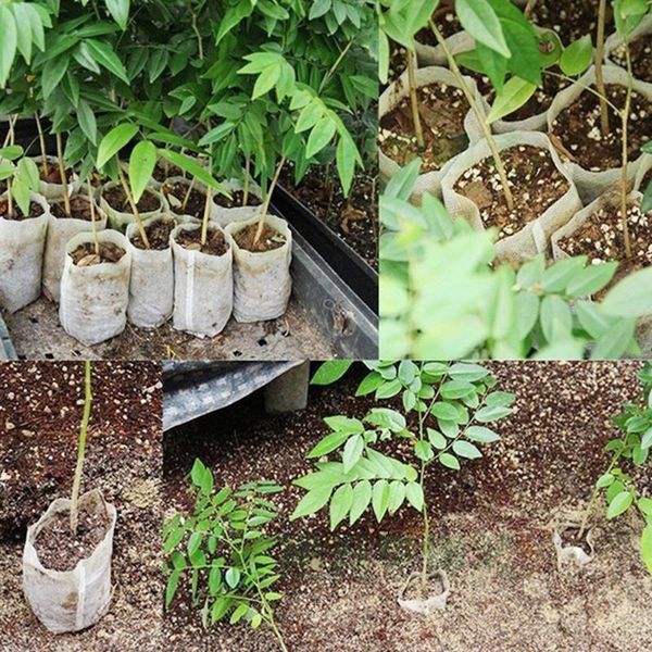 planters & pots 100pcs/lot 8*10cm biodegradable non-woven nursery bags 10x12cm plant grow fabric seedling eco-friendly aeration#45
planters & pots 100pcs/lot 8*10cm biodegradable non-woven nursery bags 10x12cm plant grow fabric seedling eco-friendly aeration#45