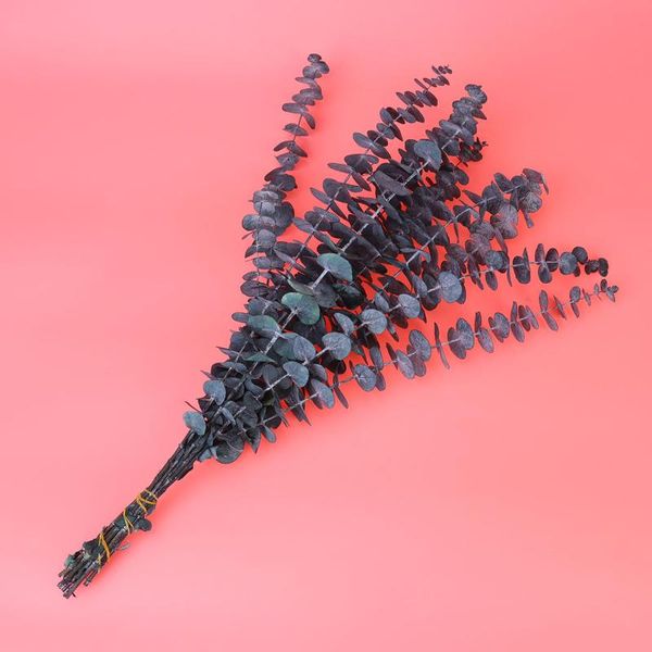 decorative flowers & wreaths 10pcs 20-30cm dried eucalyptus green leaves pography props home adornment deskdecroation (blue-green)
decorative flowers & wreaths 10pcs 20-30cm dried eucalyptus green leaves pography props home adornment deskdecroation (blue-green)