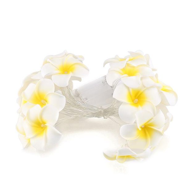strings frangipani led string light for event party decoration holiday plumeria garland xmas decor proposal marriage room
strings frangipani led string light for event party decoration holiday plumeria garland xmas decor proposal marriage room