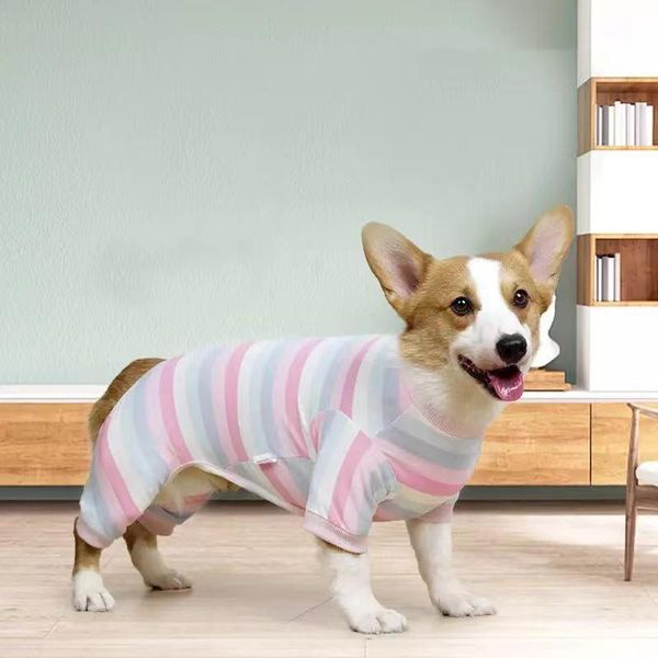 dog apparel rainbow candy color small weaning anti biting and scratching four legged household clothing dog's close fitting pajamas
dog apparel rainbow candy color small weaning anti biting and scratching four legged household clothing dog's close fitting pajamas