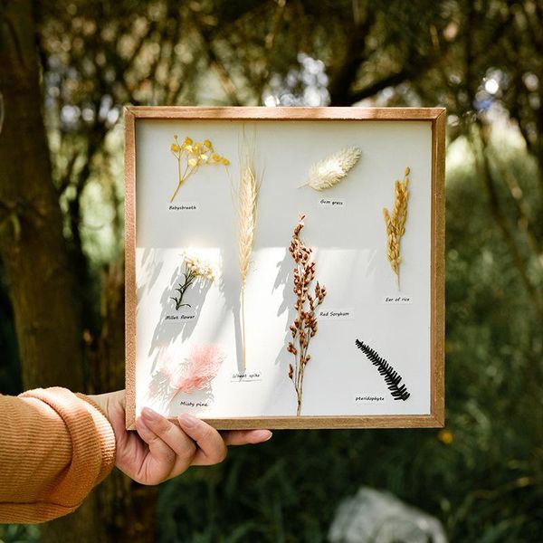 creative wooden handicraft plant specimen picture frame living room bedroom wall ornaments nordic home decorations birthday gift frames
creative wooden handicraft plant specimen picture frame living room bedroom wall ornaments nordic home decorations birthday gift frames