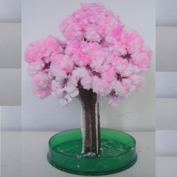party masks 10pcs 2021 14hx11dcm pink big magic paper japanese sakura tree mystically growing trees kit deskcherry blossom kids toys
party masks 10pcs 2021 14hx11dcm pink big magic paper japanese sakura tree mystically growing trees kit deskcherry blossom kids toys
