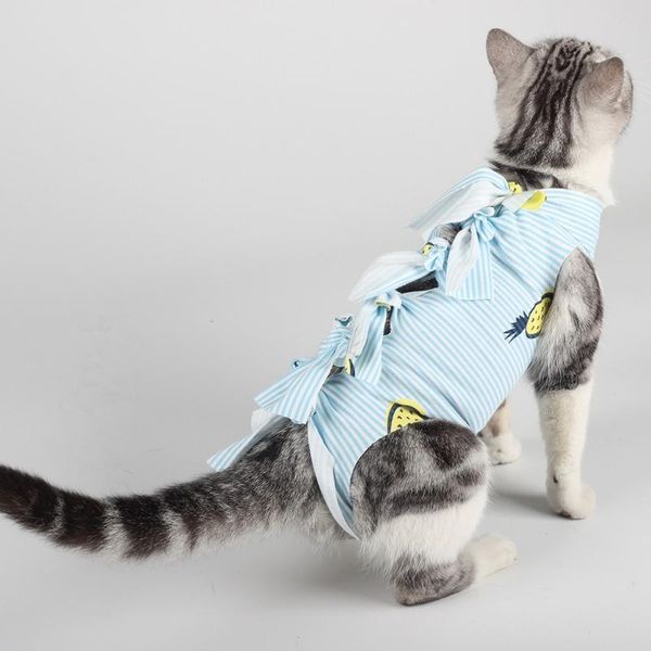 cat costumes puppy vest care clothes post-operative weaning printing breathable soft physiological pet supplies
cat costumes puppy vest care clothes post-operative weaning printing breathable soft physiological pet supplies