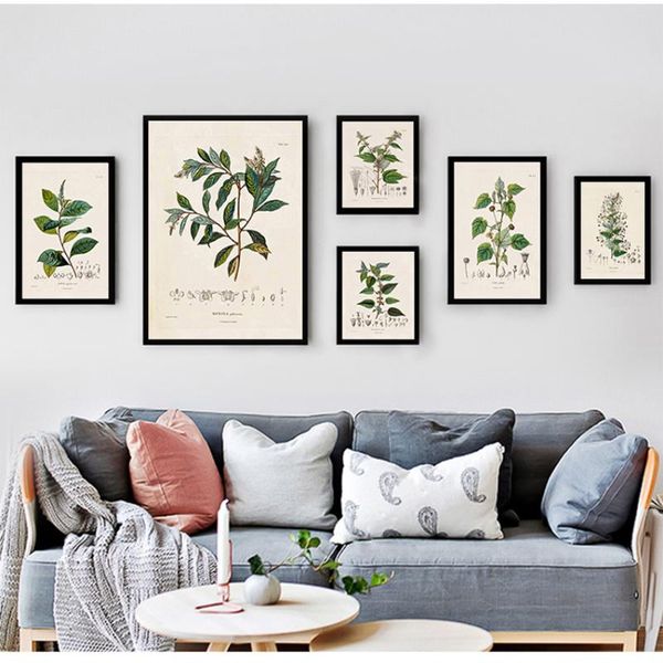 paintings canvas painting botany wall art pictures decor botanical studies vintage posters and prints antique french plant illustrations
paintings canvas painting botany wall art pictures decor botanical studies vintage posters and prints antique french plant illustrations