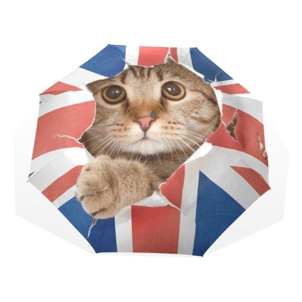umbrellas unique cute cartoon cat umbrella rain women folding automatic female sunny parasol lightweight for christmas
umbrellas unique cute cartoon cat umbrella rain women folding automatic female sunny parasol lightweight for christmas