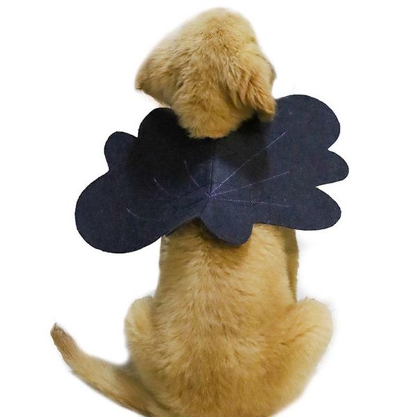 cat costumes pet dog butterfly wing halloween cosplay costume fancy dress up clothing outfit wings party supplies
cat costumes pet dog butterfly wing halloween cosplay costume fancy dress up clothing outfit wings party supplies