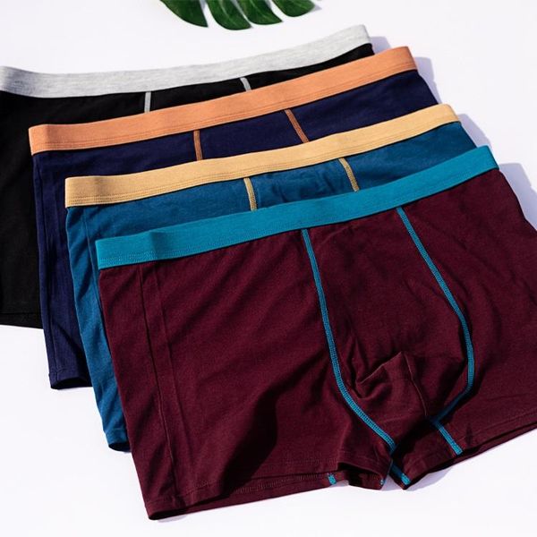 underpants plus size male underwear men boxers shorts cotton cuecas boxer mens solid man large l-4xl, Black;white
underpants plus size male underwear men boxers shorts cotton cuecas boxer mens solid man large l-4xl, Black;white