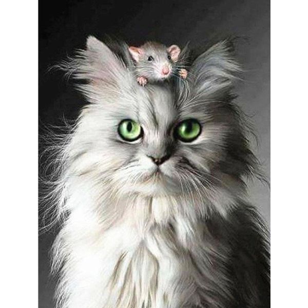 diamond painting diy 5d circular cat and mouse animal embroidery sale picture of rhinestones home decor gift
diamond painting diy 5d circular cat and mouse animal embroidery sale picture of rhinestones home decor gift