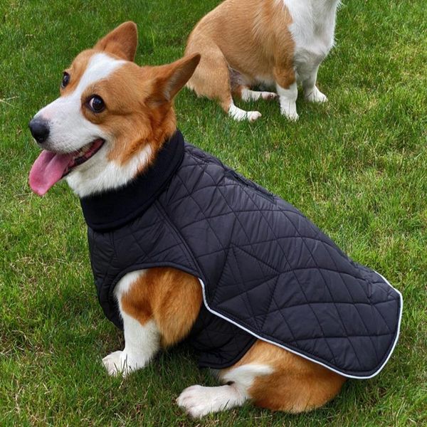 dog apparel pet autumn winter double-sided wear high-neck knitted clothes with back zipper waterproof reflective design
dog apparel pet autumn winter double-sided wear high-neck knitted clothes with back zipper waterproof reflective design
