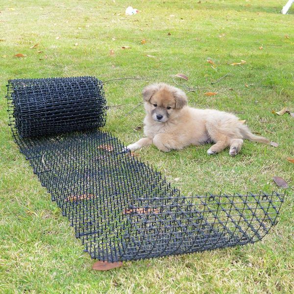 cat beds & furniture 2m thorn mat anti-cat net drive avoid step on the garden balcony artifact supplies pet protection supp
cat beds & furniture 2m thorn mat anti-cat net drive avoid step on the garden balcony artifact supplies pet protection supp
