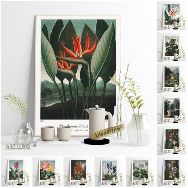 paintings robert john thornton plant flower illustration exhibition art prints poster botany retro canvas painting wall picture home decor
paintings robert john thornton plant flower illustration exhibition art prints poster botany retro canvas painting wall picture home decor