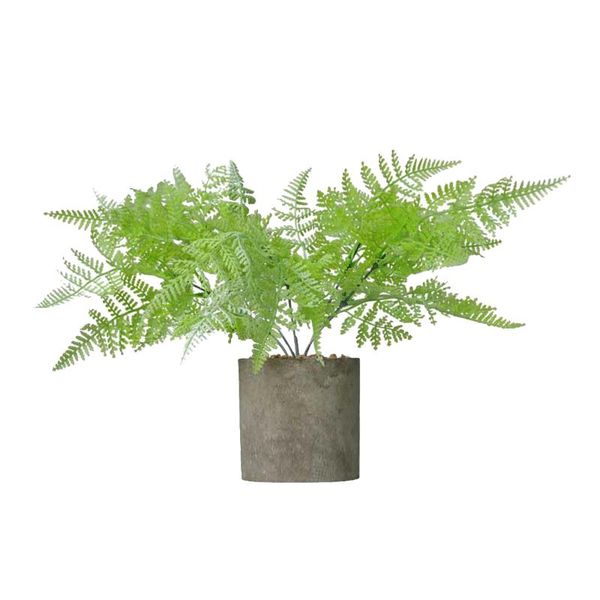 decorative flowers & wreaths persian leaf display farmhouse artificial plant desk bathroom plastic home decor reusable windowsill office gar
decorative flowers & wreaths persian leaf display farmhouse artificial plant desk bathroom plastic home decor reusable windowsill office gar